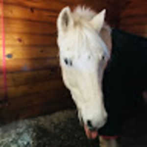 Meet your Posher, Emmah